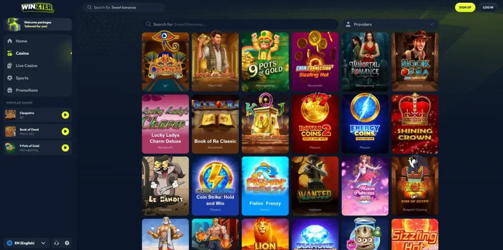 Winzter Casino UK Platform image 3